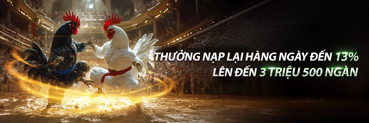 Đá Gà Bồ 888 – Sân đấu gà trực tuyến